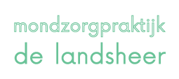 Mondzorgpraktijk De Landsheer – Tandartsen en Mondhygiënisten in Zwolle